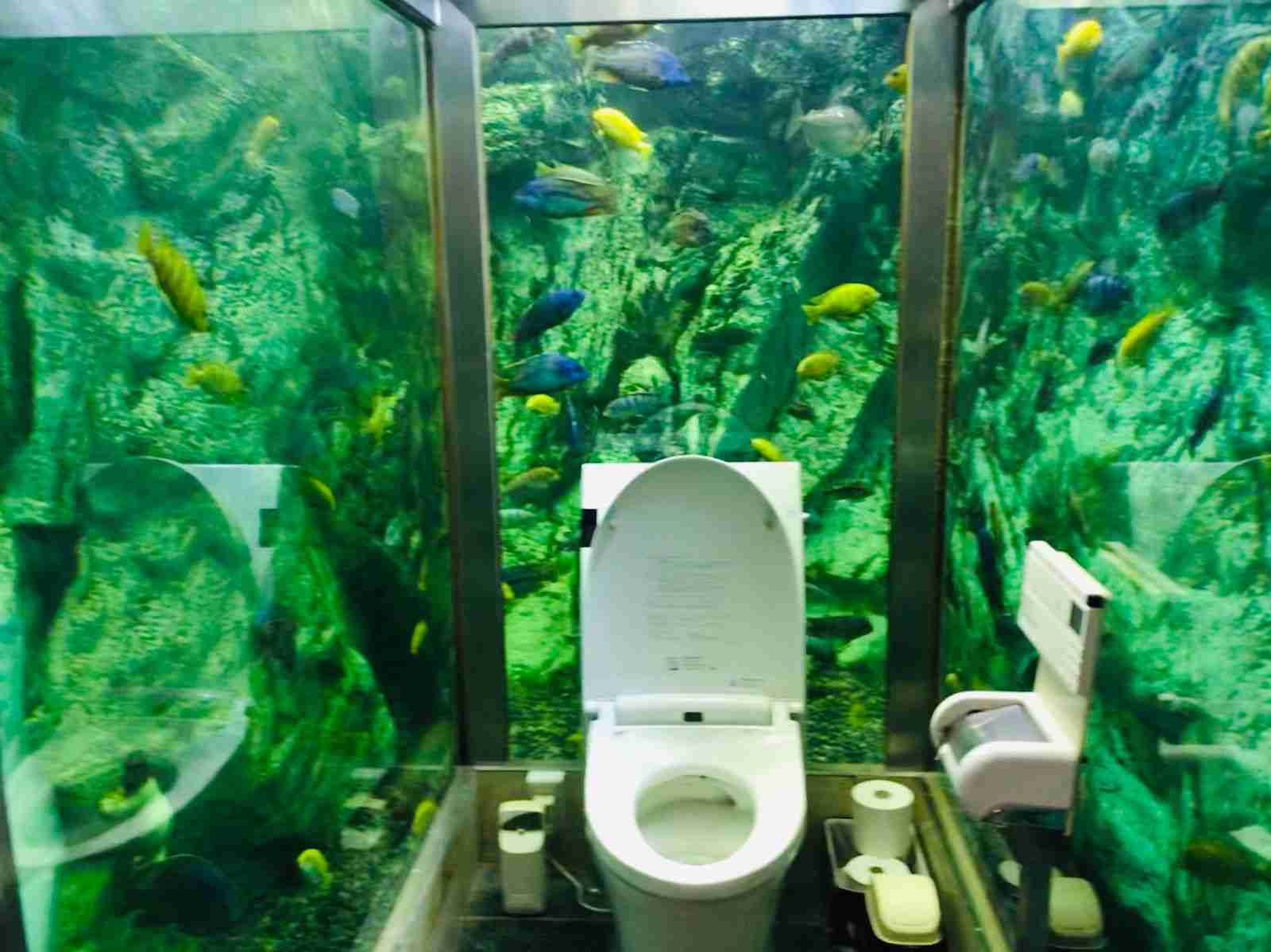 死にそうな程トイレ我慢したこと
