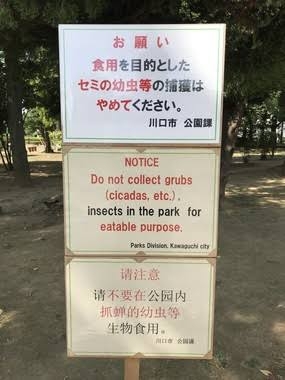 【福島現地ルポ】漁師たちが処理水放出に反発する中国に冷静反論「食いたくねぇなら結構」「自分の首締めてるのがわかんねえのか」