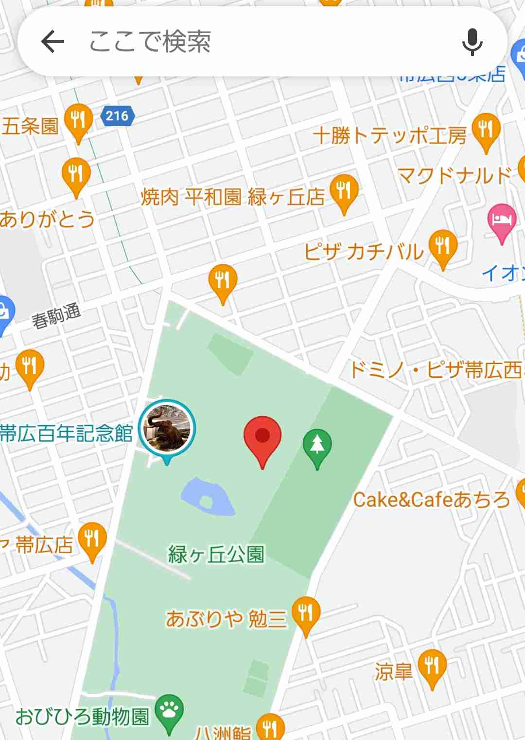 ロックは騒音？ 高校生の音楽フェス、野外ステージの利用禁止　市の対応に疑問の声