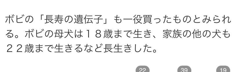 世界最長寿の犬「ボビ」死ぬ　31歳と165日　ポルトガル原産の純血種、平均寿命は12～14歳