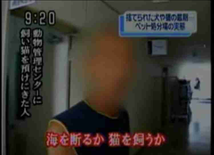 高齢者とペット「老老介護」に支援　犬や猫も長寿命化で新サービス