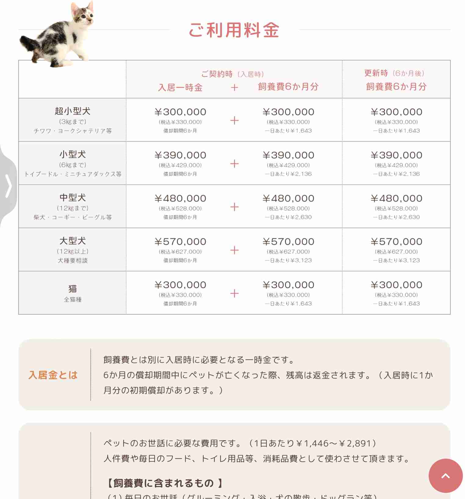 高齢者とペット「老老介護」に支援　犬や猫も長寿命化で新サービス