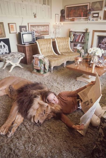 「何このかわいい光景」2歳娘と猫がピッタリと寄り添う後ろ姿が尊い…いつも仲良し？普段の様子を母親に聞いた