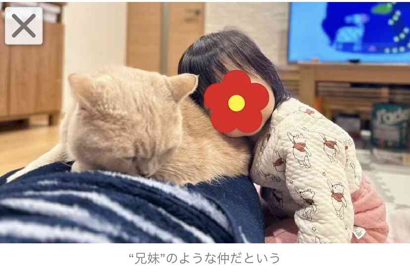 「何このかわいい光景」2歳娘と猫がピッタリと寄り添う後ろ姿が尊い…いつも仲良し？普段の様子を母親に聞いた