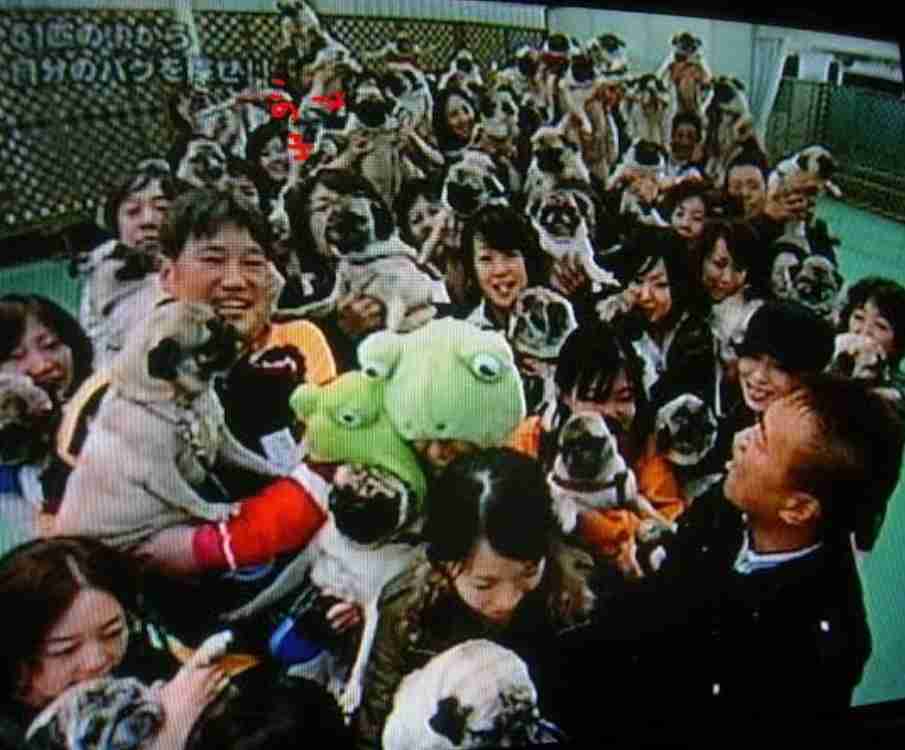 探偵ナイトスクープについて話しましょう！！