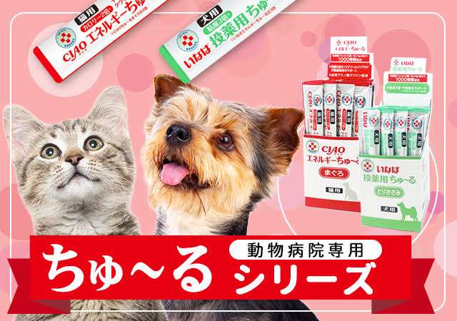 自分のお葬式にかけて欲しい曲