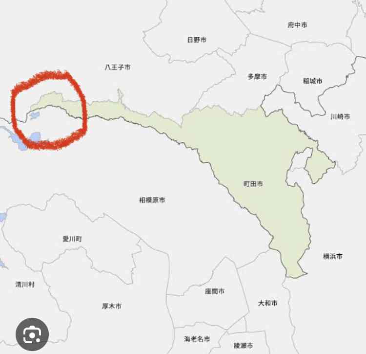 東京都内にもクマ、町田の施設内で体長90ｃｍの１頭目撃