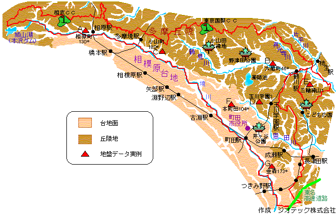 東京都内にもクマ、町田の施設内で体長90ｃｍの１頭目撃