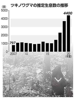 東京都内にもクマ、町田の施設内で体長90ｃｍの１頭目撃