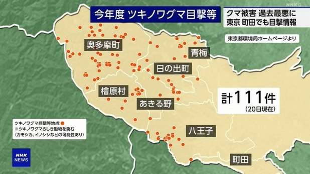 東京都内にもクマ、町田の施設内で体長90ｃｍの１頭目撃