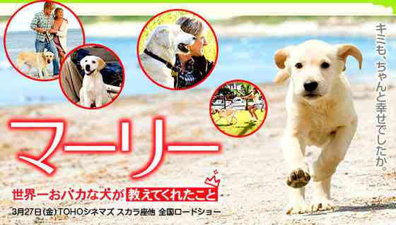 映画館で周りが号泣してた作品 Part2