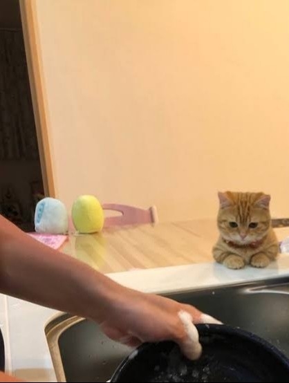 共働き家庭、どこまで家事してる？