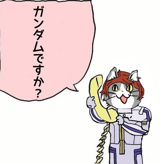 がるちゃん猫カフェ92号店開店しました♫(初めての方も大歓迎♫)