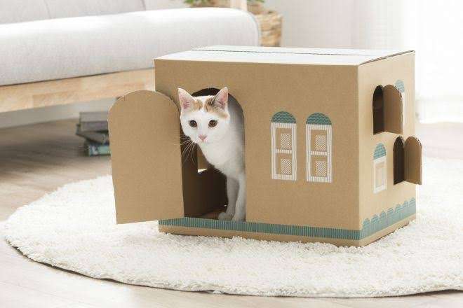 がるちゃん猫カフェ92号店開店しました♫(初めての方も大歓迎♫)