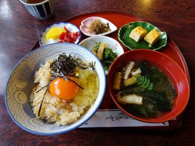 がるちゃん猫カフェ92号店開店しました♫(初めての方も大歓迎♫）