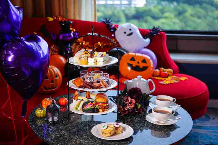 がるちゃん猫カフェ92号店開店しました♫(初めての方も大歓迎♫)