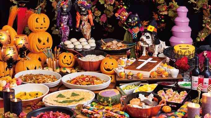 がるちゃん猫カフェ92号店開店しました♫(初めての方も大歓迎♫）