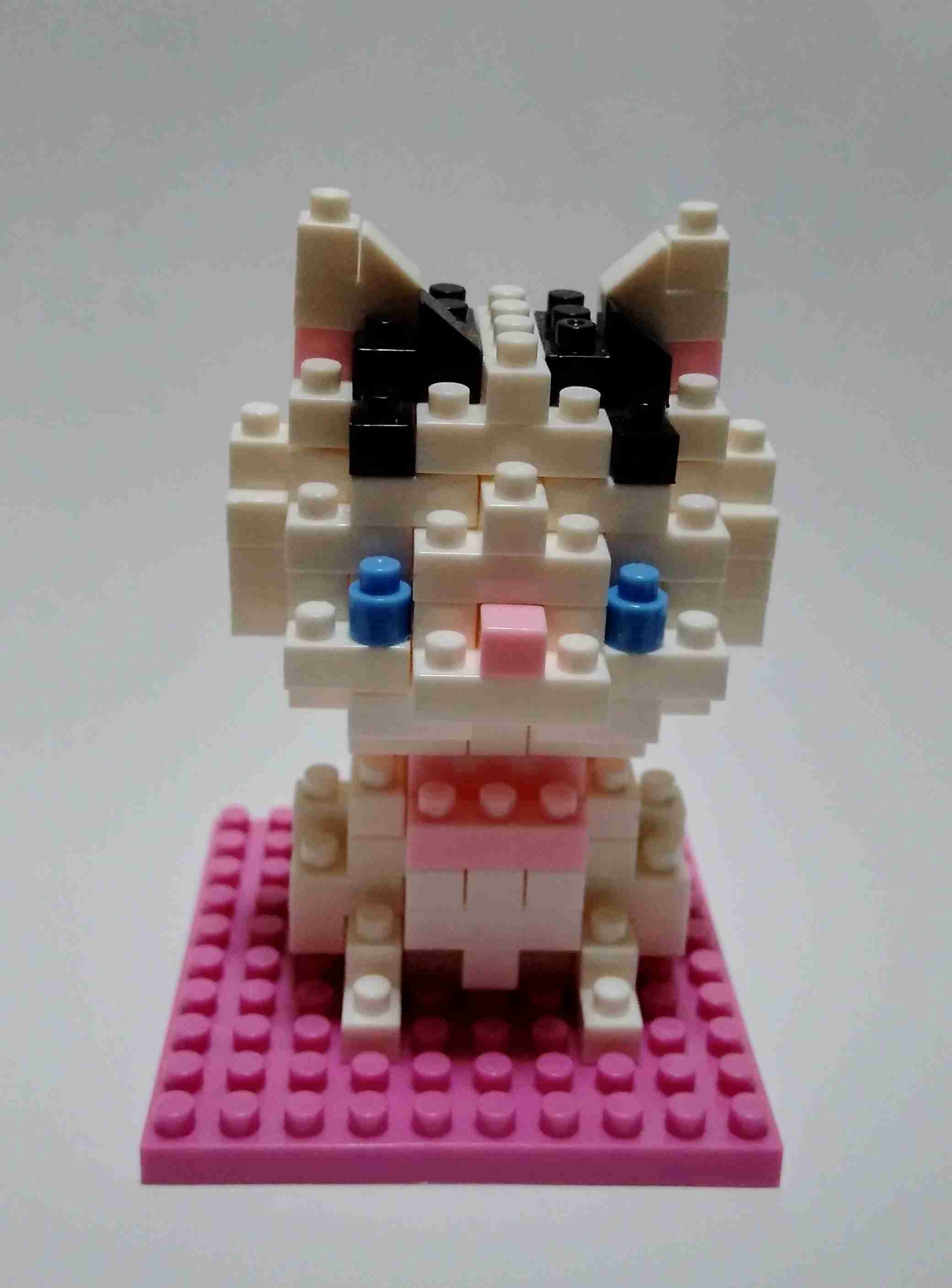 がるちゃん猫カフェ92号店開店しました♫(初めての方も大歓迎♫)