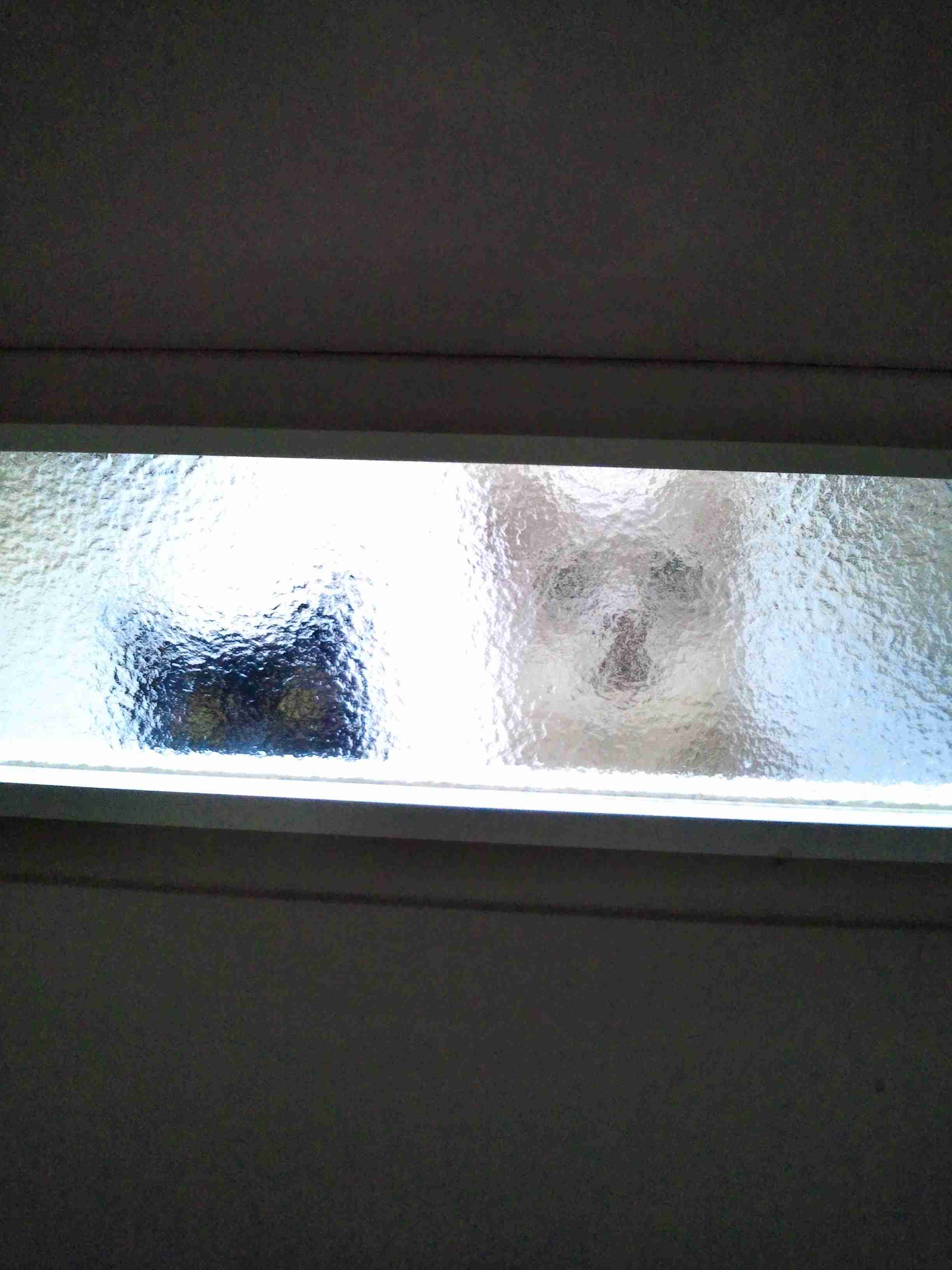 がるちゃん猫カフェ92号店開店しました♫(初めての方も大歓迎♫)