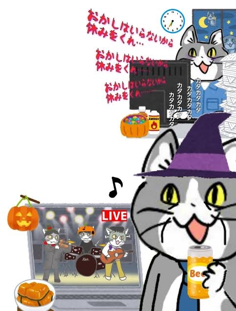 がるちゃん猫カフェ92号店開店しました♫(初めての方も大歓迎♫）