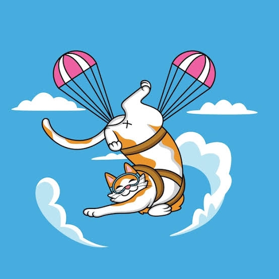 がるちゃん猫カフェ92号店開店しました♫(初めての方も大歓迎♫)