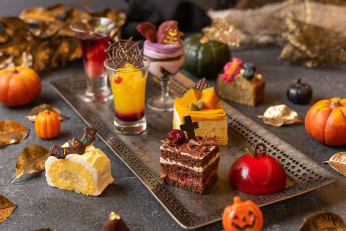 がるちゃん猫カフェ92号店開店しました♫(初めての方も大歓迎♫)