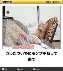 がるちゃん猫カフェ92号店開店しました♫(初めての方も大歓迎♫)