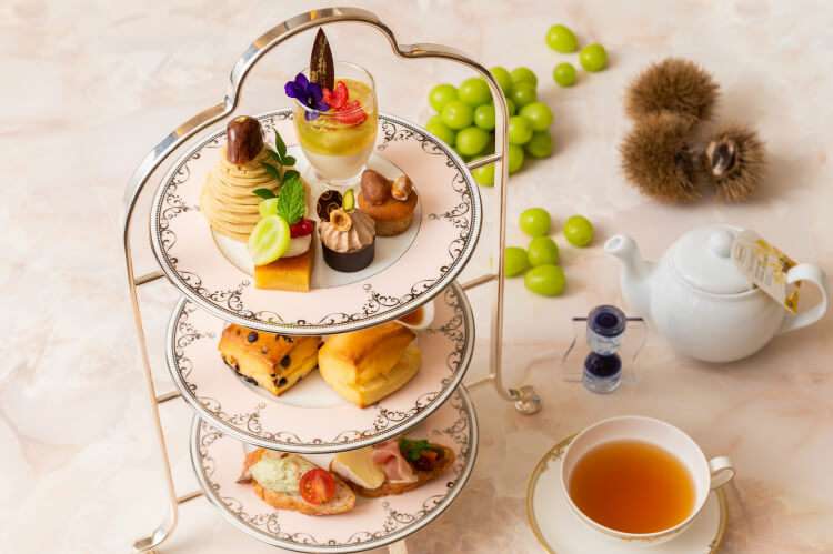 がるちゃん猫カフェ92号店開店しました♫(初めての方も大歓迎♫)