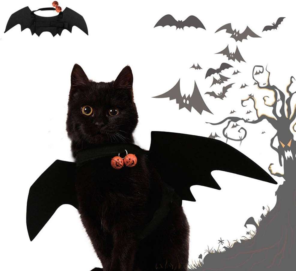 がるちゃん猫カフェ92号店開店しました♫(初めての方も大歓迎♫）