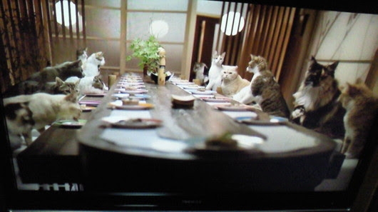 がるちゃん猫カフェ92号店開店しました♫(初めての方も大歓迎♫）