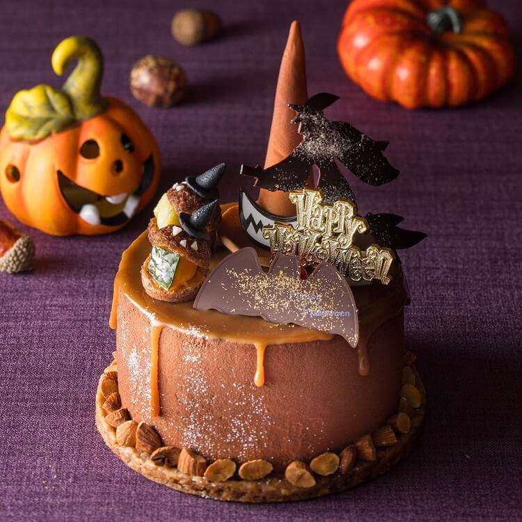 がるちゃん猫カフェ92号店開店しました♫(初めての方も大歓迎♫)