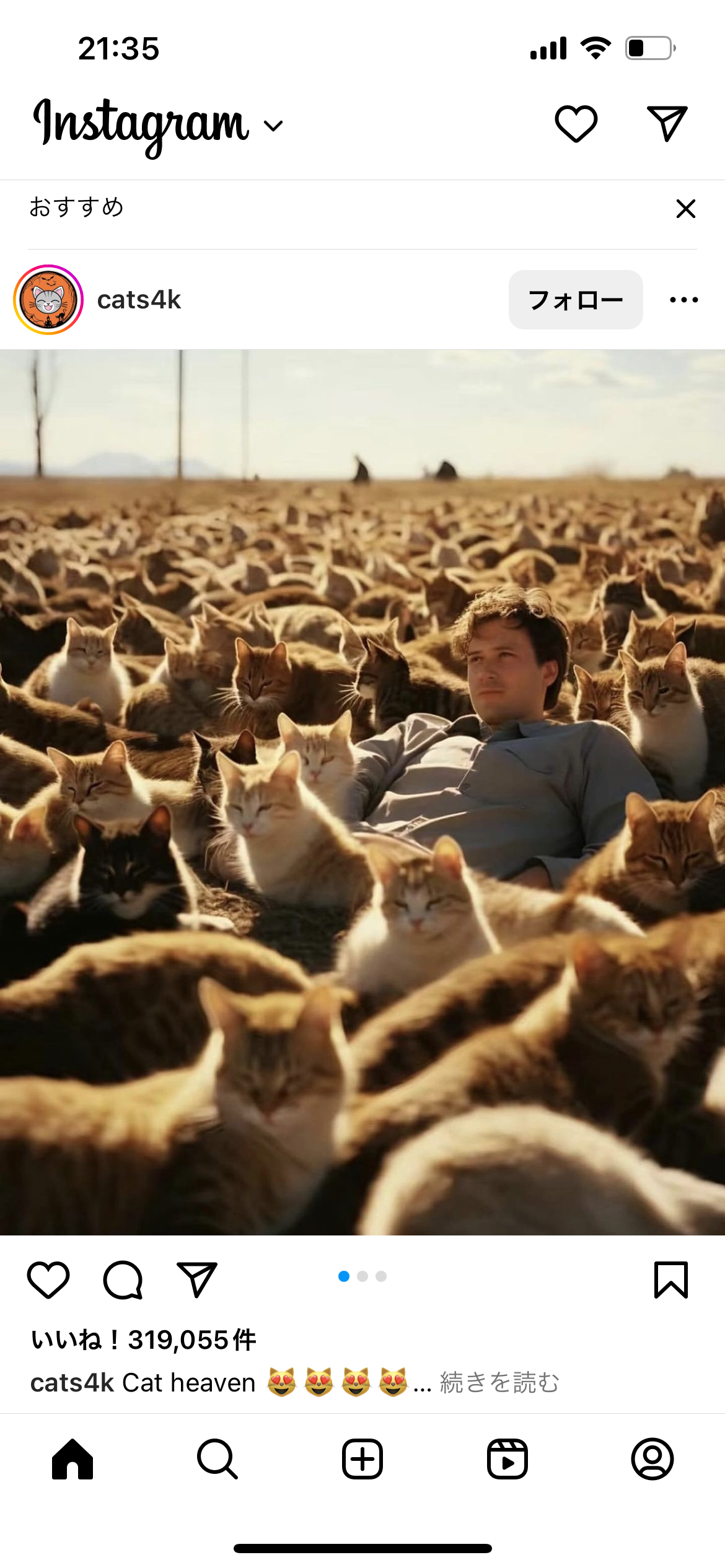 がるちゃん猫カフェ92号店開店しました♫(初めての方も大歓迎♫)