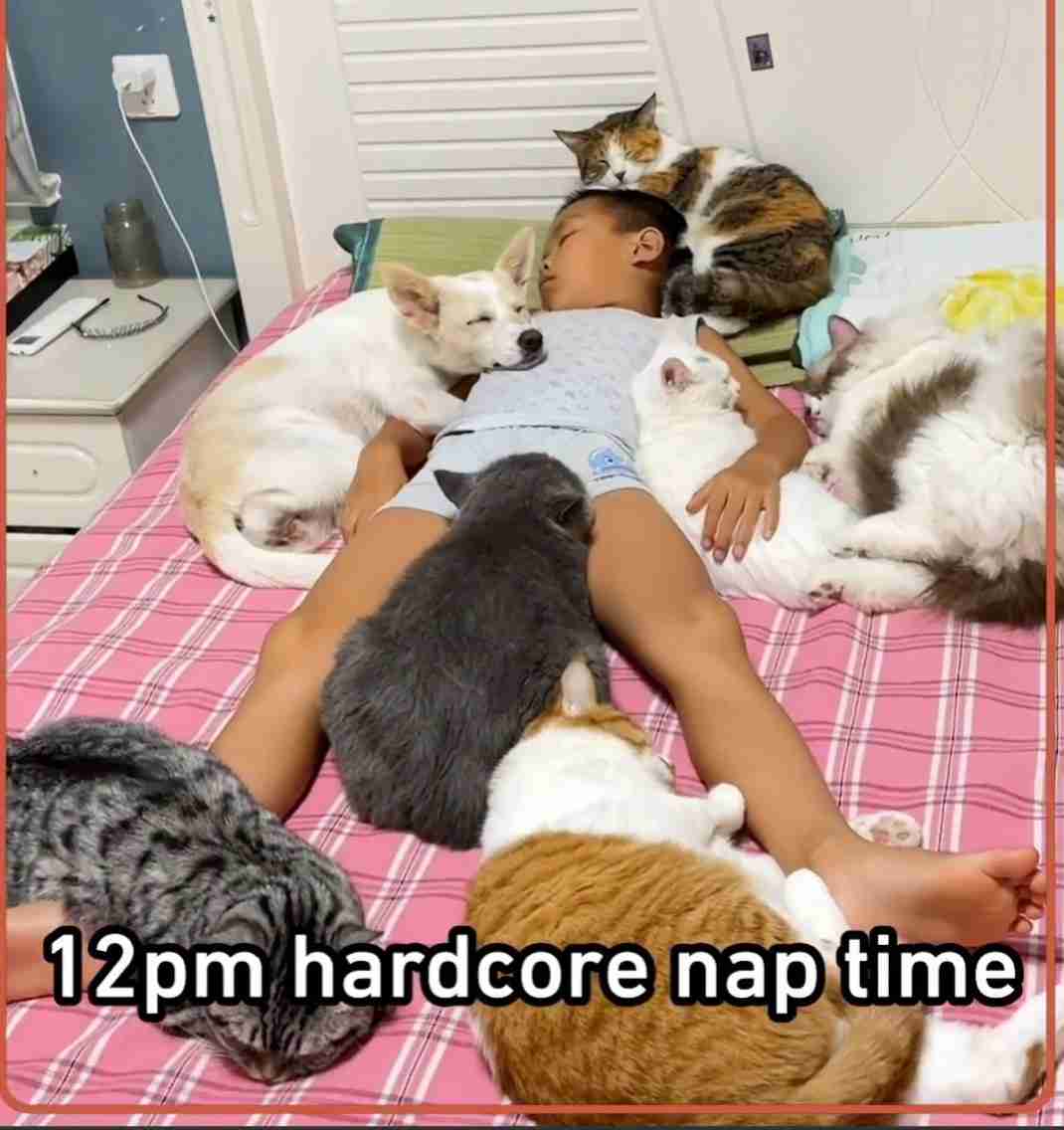 がるちゃん猫カフェ92号店開店しました♫(初めての方も大歓迎♫)