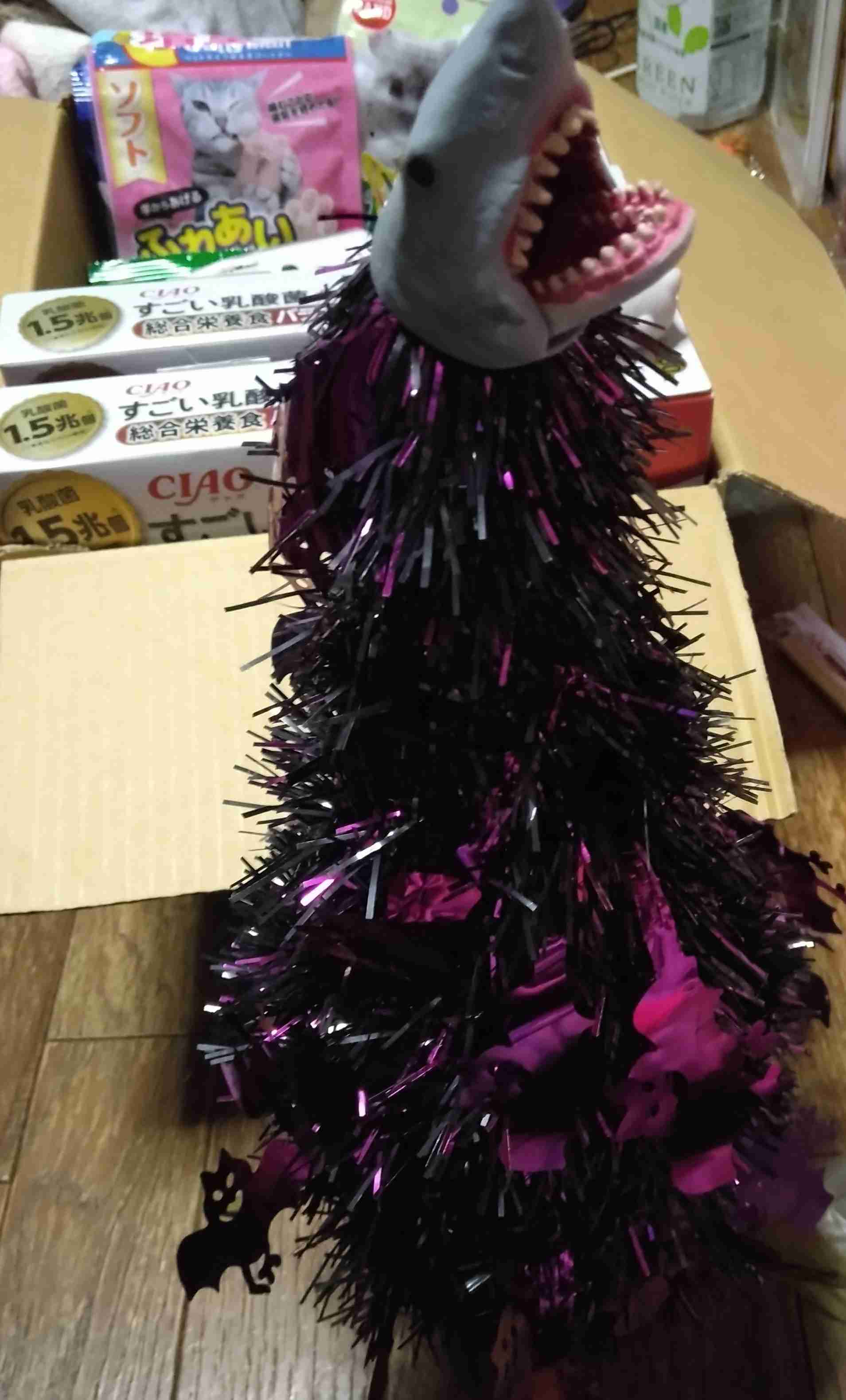 がるちゃん猫カフェ92号店開店しました♫(初めての方も大歓迎♫）