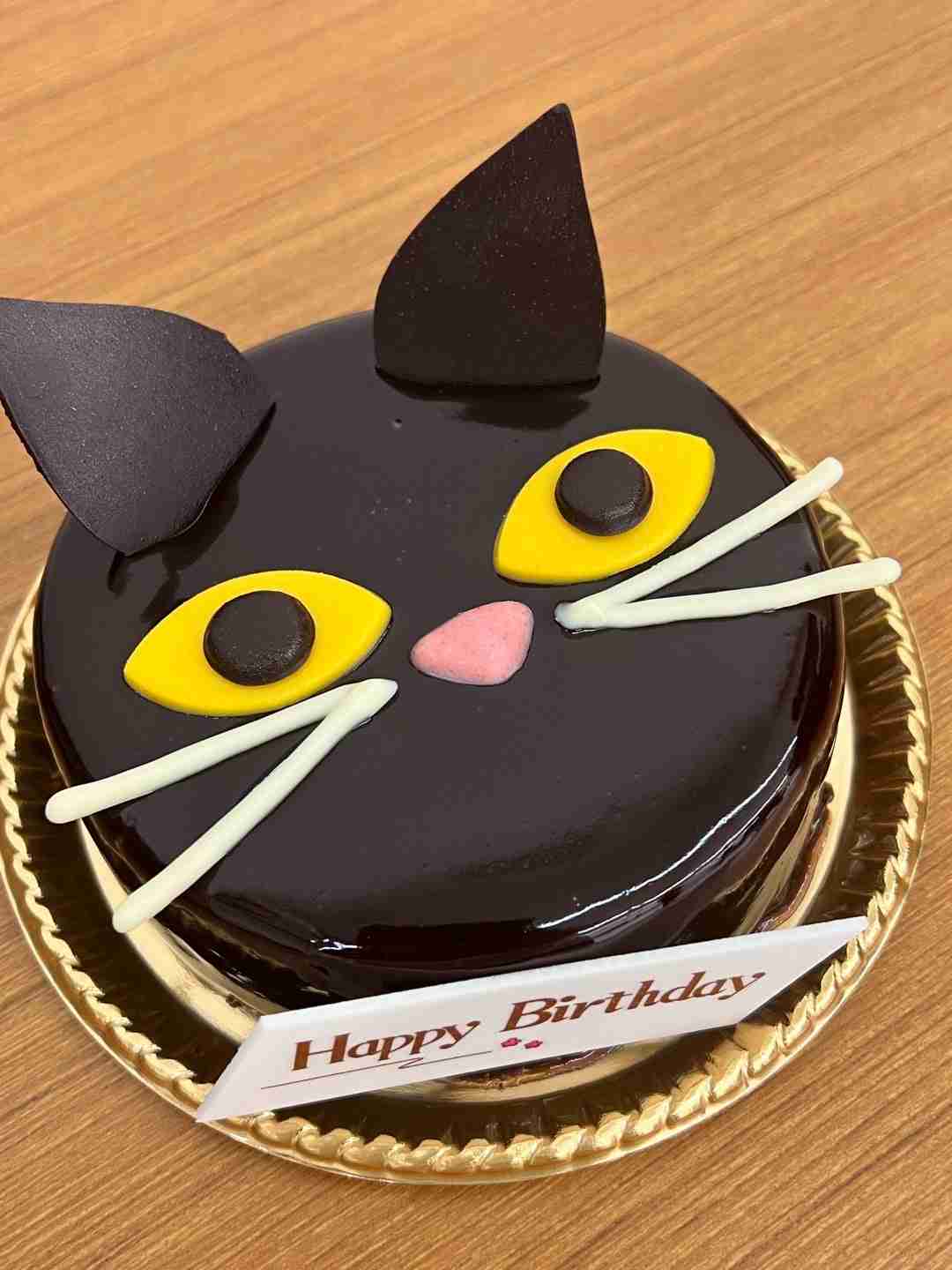 がるちゃん猫カフェ92号店開店しました♫(初めての方も大歓迎♫)