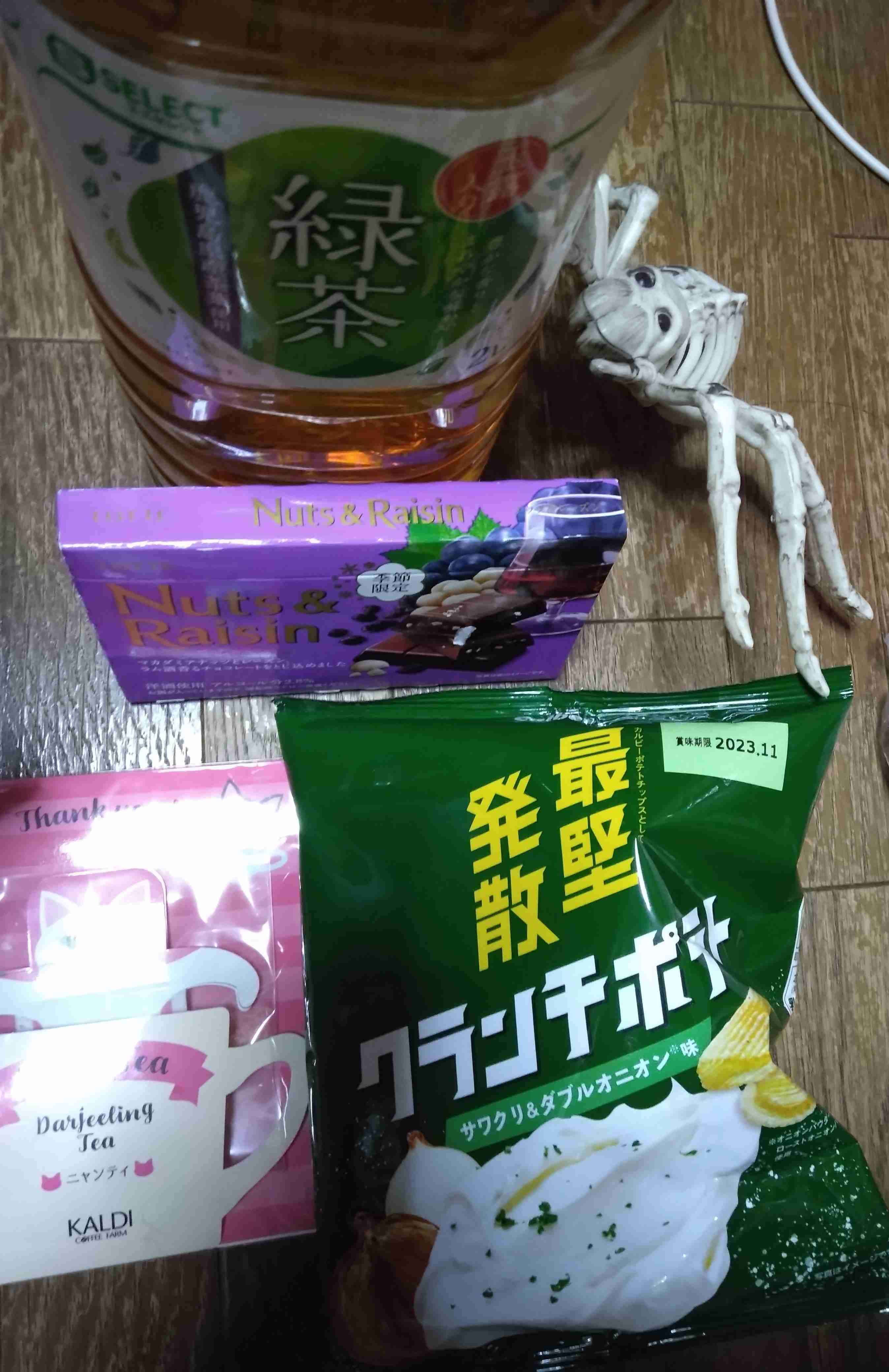 がるちゃん猫カフェ92号店開店しました♫(初めての方も大歓迎♫）