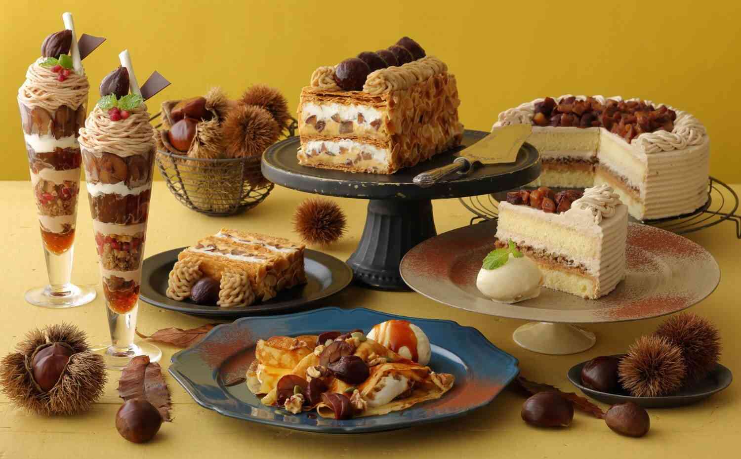 がるちゃん猫カフェ92号店開店しました♫(初めての方も大歓迎♫）