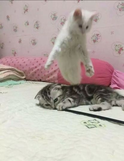 【画像】好きだった平成ファッション