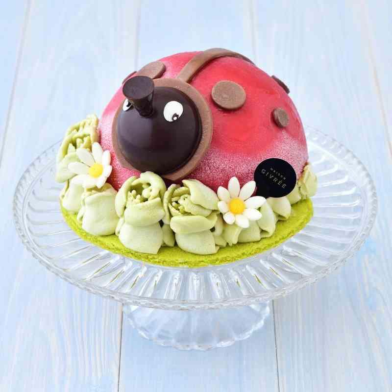 アイスケーキのおすすめ