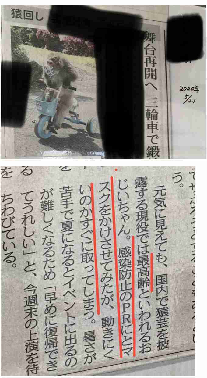 【美容】お気に入りの健康茶【健康】