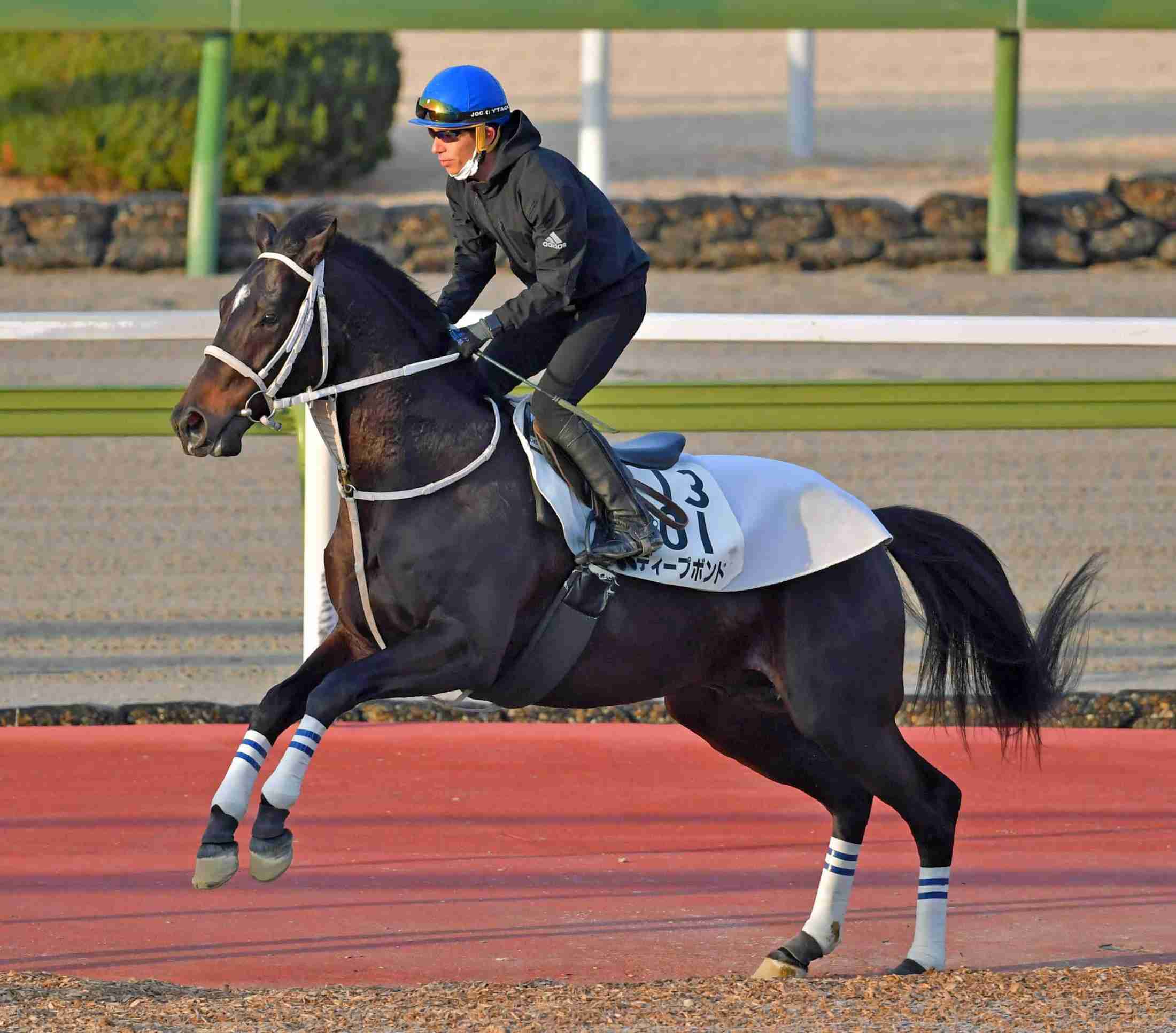 【競馬】UMAJO集まれ！ part 29【アンチ厳禁】