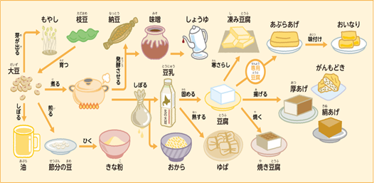 大豆食品が好き