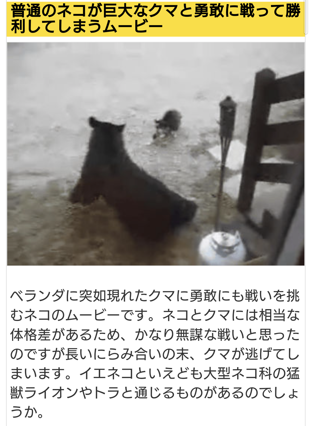 【秋田・クマ4人襲撃】「耳たぶが裂けてプランプラン」「指が頭に食い込んだ」被害者たちが語る「戦慄の瞬間」