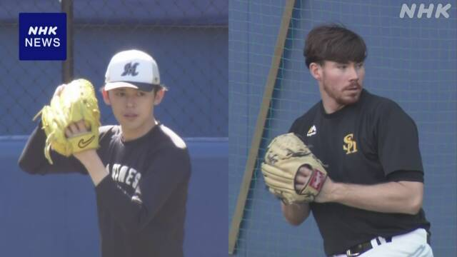 今日の予定は？