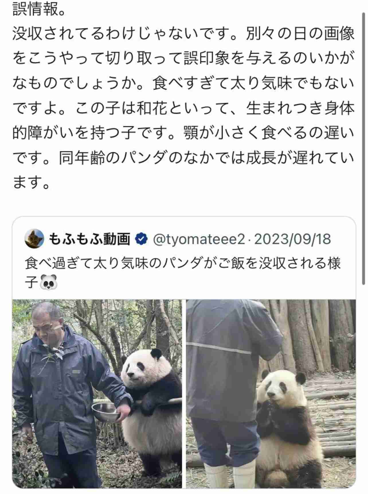「おなかがいっぱいになればよいよい」やす子、忙しい日常のリアルな“夜ご飯”を公開