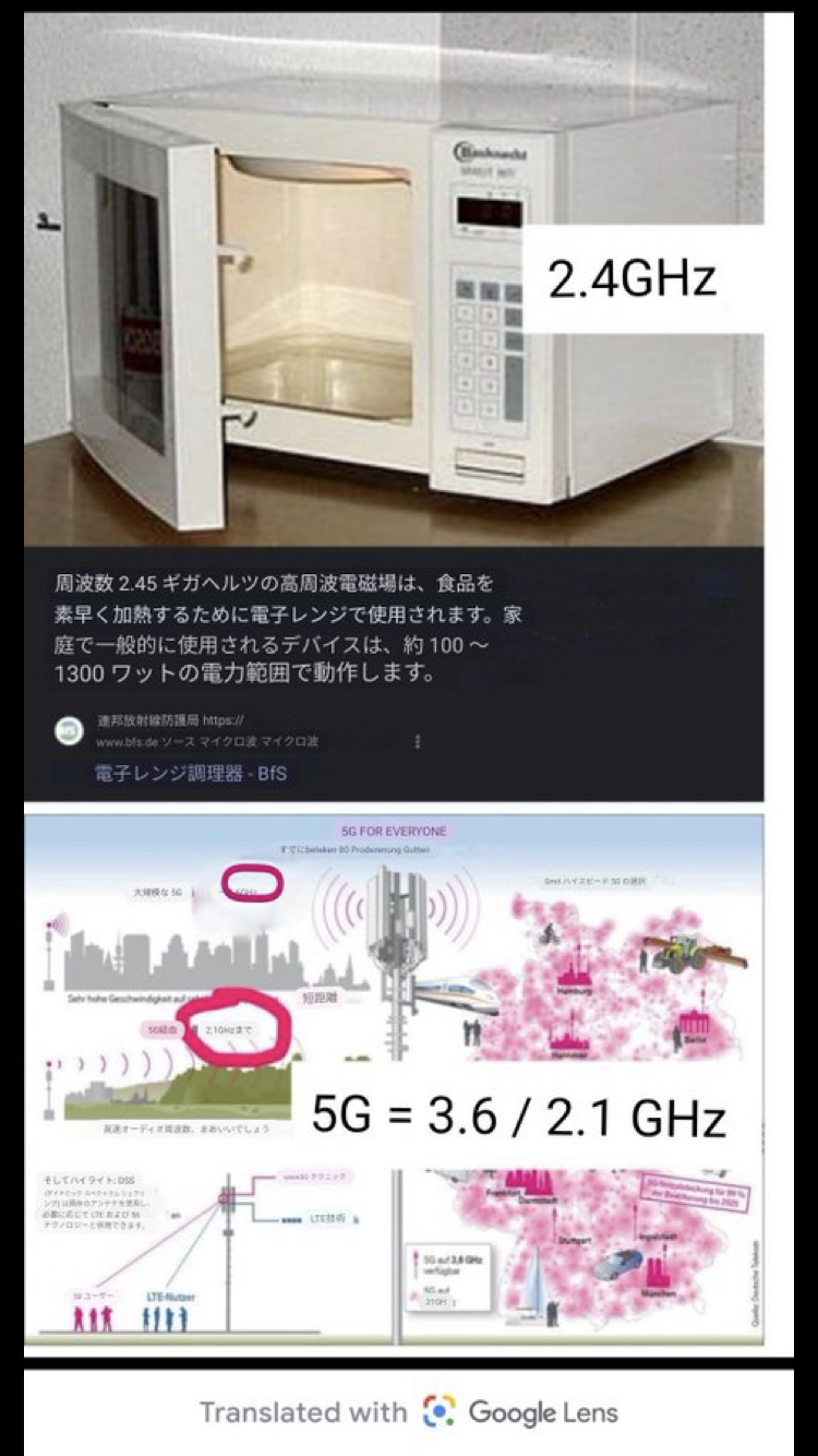 【新米の】やっぱりお米が大好きな方集合!【季節になりました】