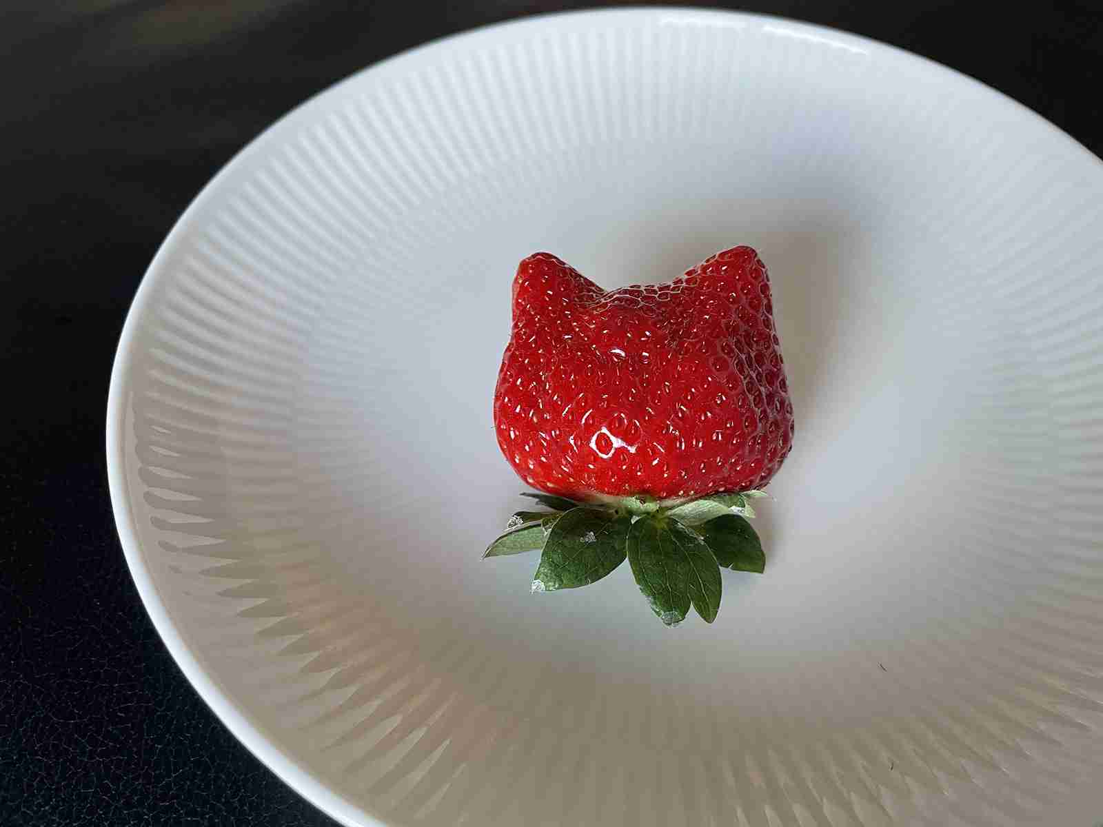 ちょっと一言 〜画像を添えて〜part5