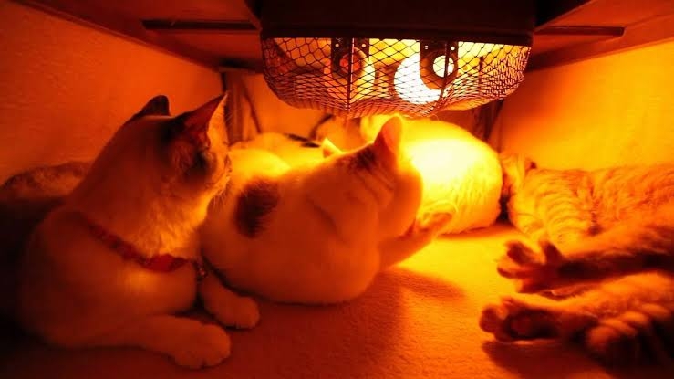 ちょっと一言　〜画像を添えて〜part5