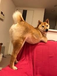 ちょっと一言　〜画像を添えて〜part5