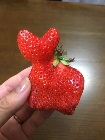 ちょっと一言 〜画像を添えて〜part5